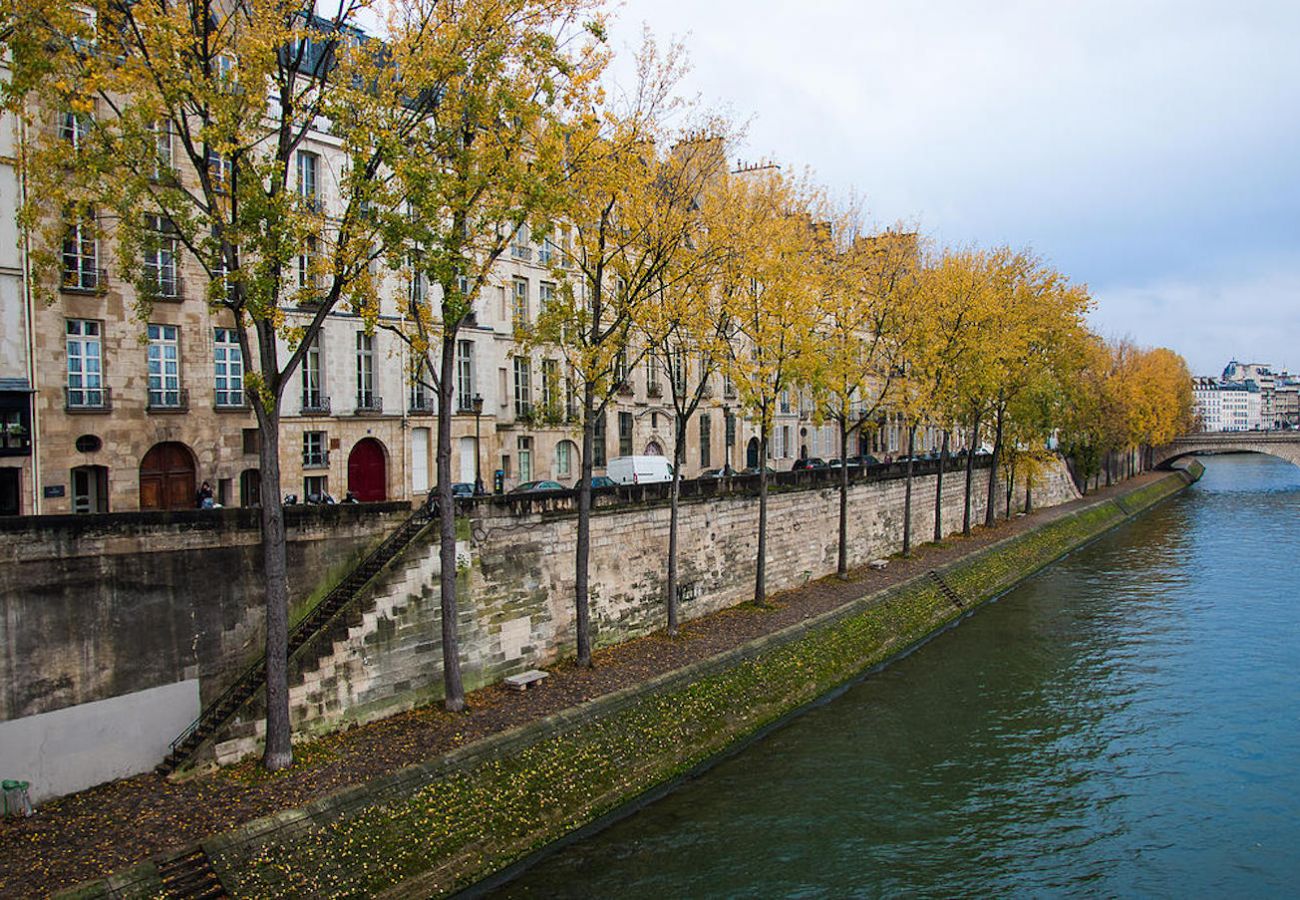 Apartment in Paris - Île Saint Louis Luxury