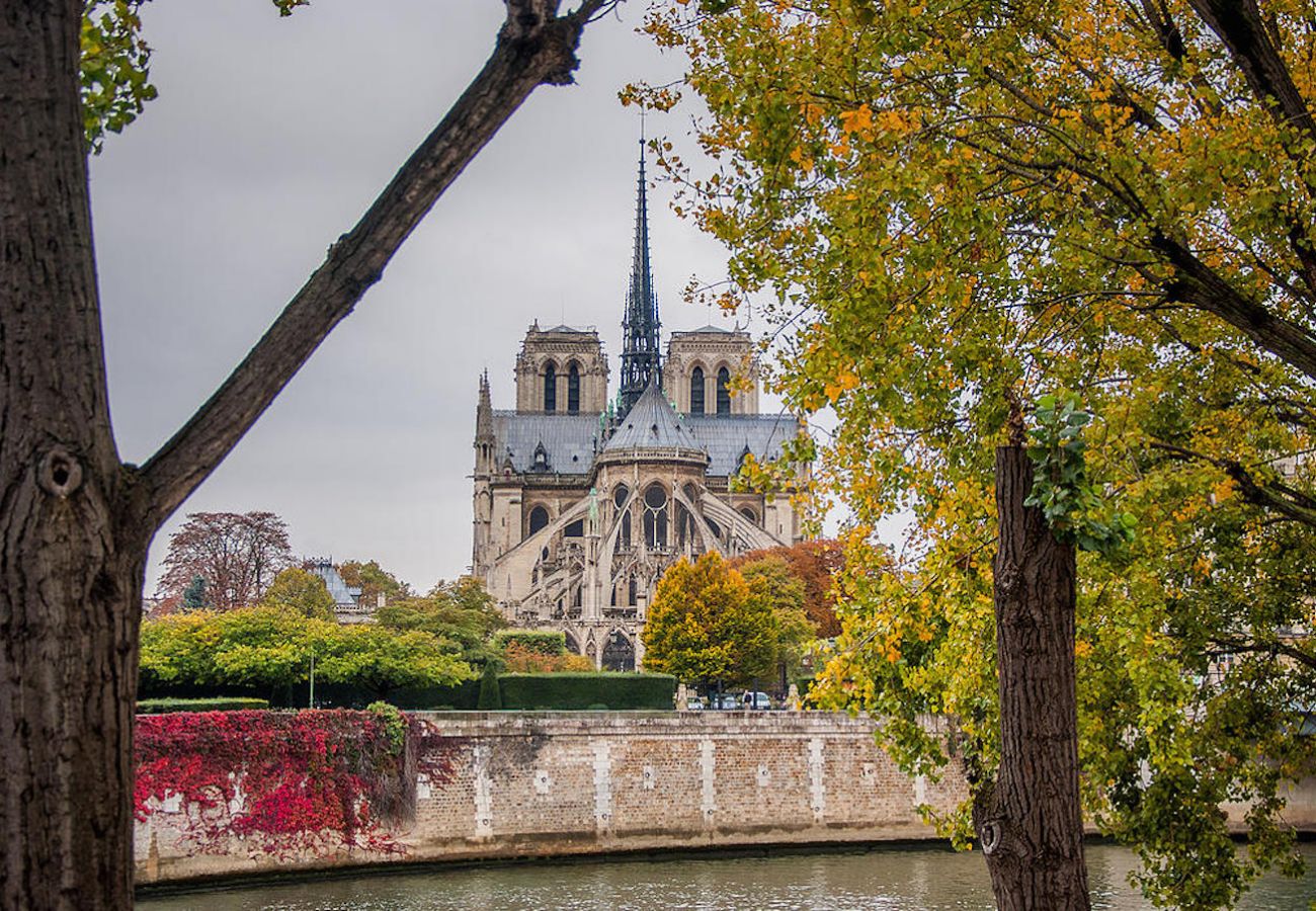 Apartment in Paris - Île Saint Louis Luxury