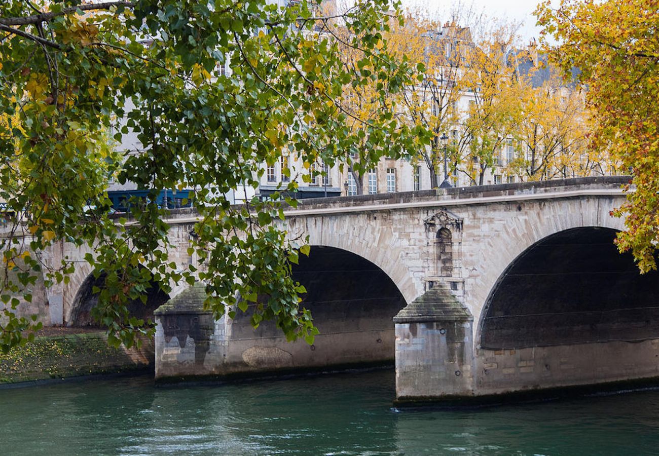 Apartment in Paris - Île Saint Louis Luxury